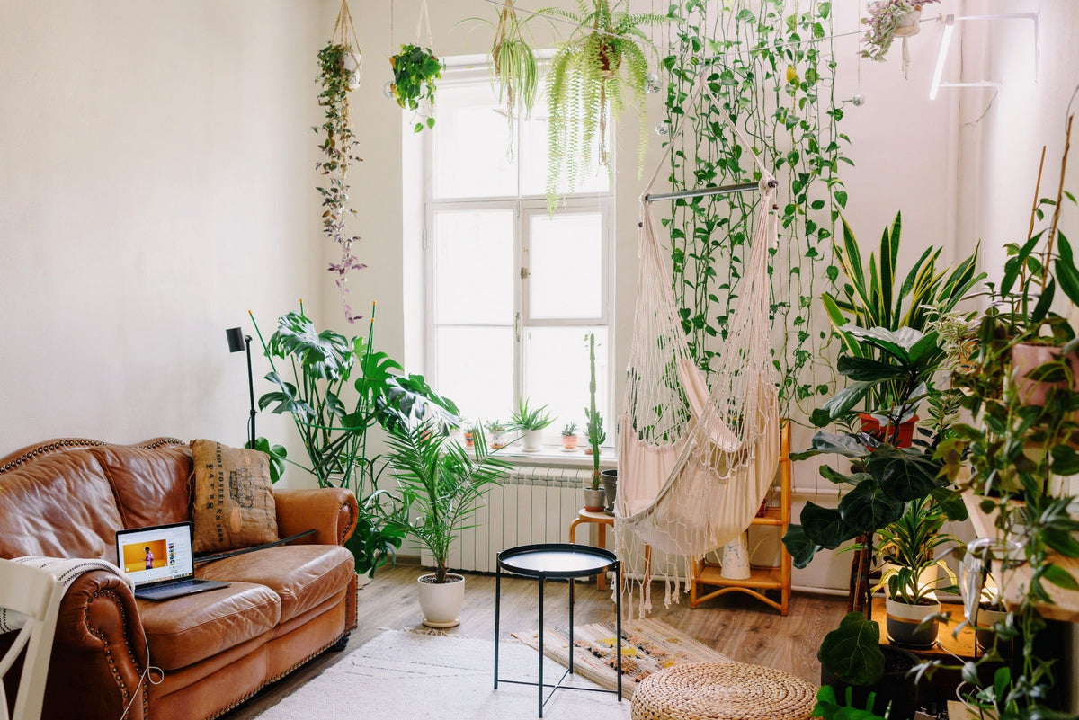 Biophilic Living: How to Style a Plant-Filled Room Without Clutter