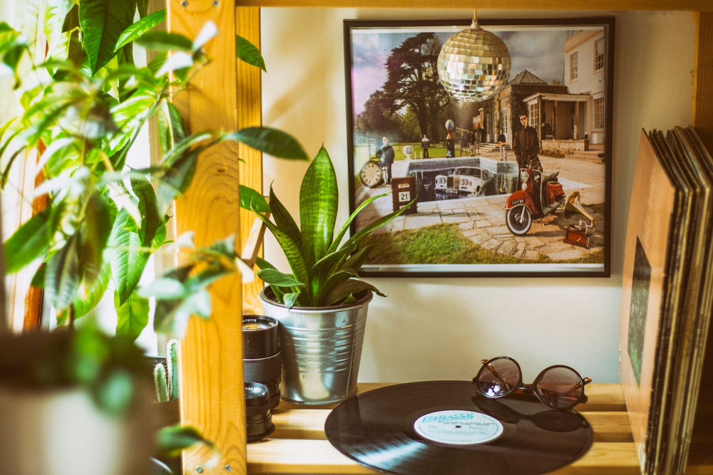 How to Create a Collected Corner with Plants, Art and Music
